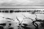 Sausage Tree Camp, Lower Zambezi NP, 2009