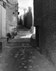 Ghardaia, 2010