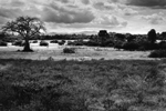 Lower Zambezi National Park, 2009