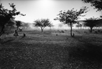 Himba People, Epupa Falls, 2010